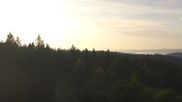 Archived webcam image showing Brend Tower in Furtwangen on 30 Jun 2026 at 07:31