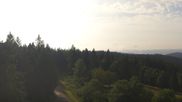 Archived webcam image showing Brend Tower in Furtwangen on 30 Jun 2026 at 08:31