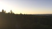 Archived webcam image showing Brend Tower in Furtwangen on 4 Jul 2026 at 06:50