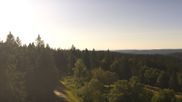 Archived webcam image showing Brend Tower in Furtwangen on 4 Jul 2026 at 08:50
