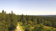Archived webcam image showing Brend Tower in Furtwangen on 4 Jul 2026 at 14:50