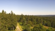 Archived webcam image showing Brend Tower in Furtwangen on 4 Jul 2026 at 16:50