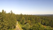 Archived webcam image showing Brend Tower in Furtwangen on 4 Jul 2026 at 18:50