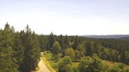 Archived webcam image showing Brend Tower in Furtwangen on 4 Jul 2026 at 12:50