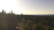 Archiviertes Webcam Bild: Furtwangen - Brendturm am 12.07.2026 um 08:05 Uhr