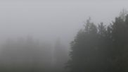 Archived webcam image showing Brend Tower in Furtwangen on 27 Jul 2026 at 08:28