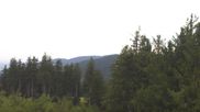 Archived webcam image showing Brend Tower in Furtwangen on 3 Aug 2026 at 07:39