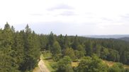 Archived webcam image showing Brend Tower in Furtwangen on 3 Aug 2026 at 14:39