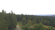 Archived webcam image showing Brend Tower in Furtwangen on 3 Aug 2026 at 16:39