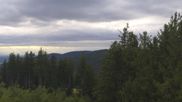 Archiviertes Webcam Bild: Furtwangen - Brendturm am 18.08.2026 um 18:42 Uhr