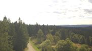 Archiviertes Webcam Bild: Furtwangen - Brendturm am 26.08.2026 um 10:52 Uhr