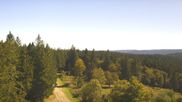 Archived webcam image showing Brend Tower in Furtwangen on 25 Sep 2026 at 12:25