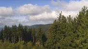 Archived webcam image showing Brend Tower in Furtwangen on 2 Oct 2026 at 12:29