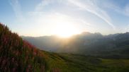 Archived webcam image showing Courchevel - Webcam Chenus on 14 Jul 2026 at 06:47