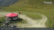 Archived webcam image showing Lauchernalp Ski Resort - Stafel on 14 Aug 2026 at 11:15