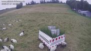 Archived webcam image showing View slopes Falkenau on 21 Jul 2026 at 06:38
