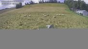 Archived webcam image showing View slopes Falkenau on 21 Jul 2026 at 10:38