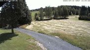 Archiviertes Webcam Bild: Kammloipe: Hammerbrücke am 12.07.2026 um 10:36 Uhr