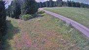 Archived webcam image showing Nordic Center Girkhausen on 12 Jul 2026 at 14:06