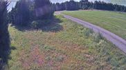 Archived webcam image showing Nordic Center Girkhausen on 12 Jul 2026 at 16:18
