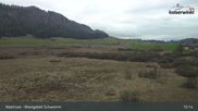 Archiviertes Webcam Bild: Walchsee Moorgebiet Schwemm am 12.04.2026 um 15:26 Uhr