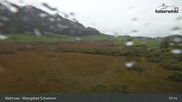 Archiviertes Webcam Bild: Walchsee Moorgebiet Schwemm am 10.10.2026 um 15:56 Uhr