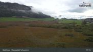 Archiviertes Webcam Bild: Walchsee Moorgebiet Schwemm am 10.10.2026 um 17:56 Uhr
