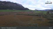 Archived webcam image showing Lake Walchsee: Moorland Schwemm on 12 Oct 2026 at 08:03