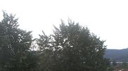 Archived webcam image showing Gmund - Tegernsee on 10 Sep 2026 at 08:29