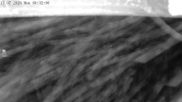 Archiviertes Webcam Bild: Mt. Olympus: Zufahrtsweg 2 am 12.07.2026 um 14:53 Uhr