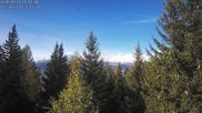 Archived webcam image showing Rosswald - Chalet Bärgfriedu on 22 Oct 2026 at 14:34
