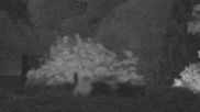 Archived webcam image showing Stork Nest at the Bavarian Forest National Park on 8 Aug 2026 at 04:21