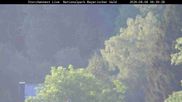 Archived webcam image showing Stork Nest at the Bavarian Forest National Park on 8 Aug 2026 at 06:21