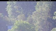 Archived webcam image showing Stork Nest at the Bavarian Forest National Park on 8 Aug 2026 at 07:21