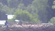 Archived webcam image showing Stork Nest at the Bavarian Forest National Park on 8 Aug 2026 at 08:21