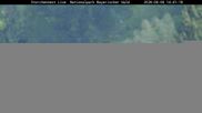 Archived webcam image showing Stork Nest at the Bavarian Forest National Park on 8 Aug 2026 at 14:21