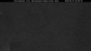 Archived webcam image showing Stork Nest at the Bavarian Forest National Park on 19 Aug 2026 at 04:27