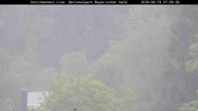Archived webcam image showing Stork Nest at the Bavarian Forest National Park on 19 Aug 2026 at 07:27
