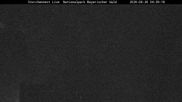Archiviertes Webcam Bild: Bayerischer Wald: Blick auf das Storchennest in Grafenau am 26.08.2026 um 04:04 Uhr