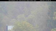 Archived webcam image showing Stork Nest at the Bavarian Forest National Park on 17 Sep 2026 at 07:56