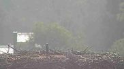 Archived webcam image showing Stork Nest at the Bavarian Forest National Park on 17 Sep 2026 at 08:56