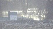 Archived webcam image showing Stork Nest at the Bavarian Forest National Park on 26 Feb 2026 at 18:12