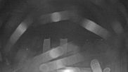 Archived webcam image showing Webcam Lake Fuschlsee on 3 Aug 2026 at 04:08
