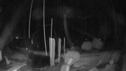 Archived webcam image showing Webcam Lake Fuschlsee on 17 Sep 2026 at 04:49