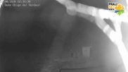 Archived webcam image showing Prali Ski Resort - Baby Ghigo Slope on 22 Aug 2026 at 02:55