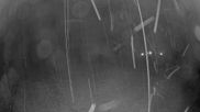 Archived webcam image showing Beitostolen Ski Resort: Raudalen on 2 Oct 2026 at 06:02