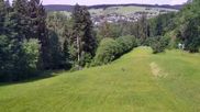 Archiviertes Webcam Bild: Augustusburg: Skipiste am 10.06.2026 um 10:55 Uhr
