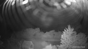 Archived webcam image showing Reutti (Swabian Alb) on 10 Jun 2026 at 02:53