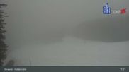 Archiviertes Webcam Bild: Feldernalm in Ehrwald am 12.04.2026 um 17:53 Uhr