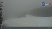 Archived webcam image showing Feldernalm in Ehrwald - Zugspitze on 15 Apr 2026 at 08:34